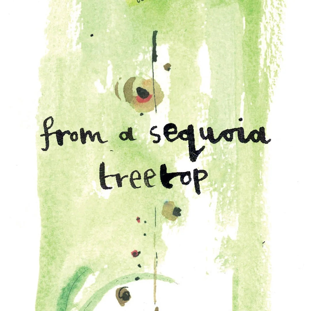 The Sequoia Story Children's Book