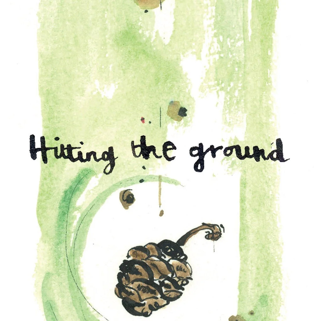 The Sequoia Story Children's Book