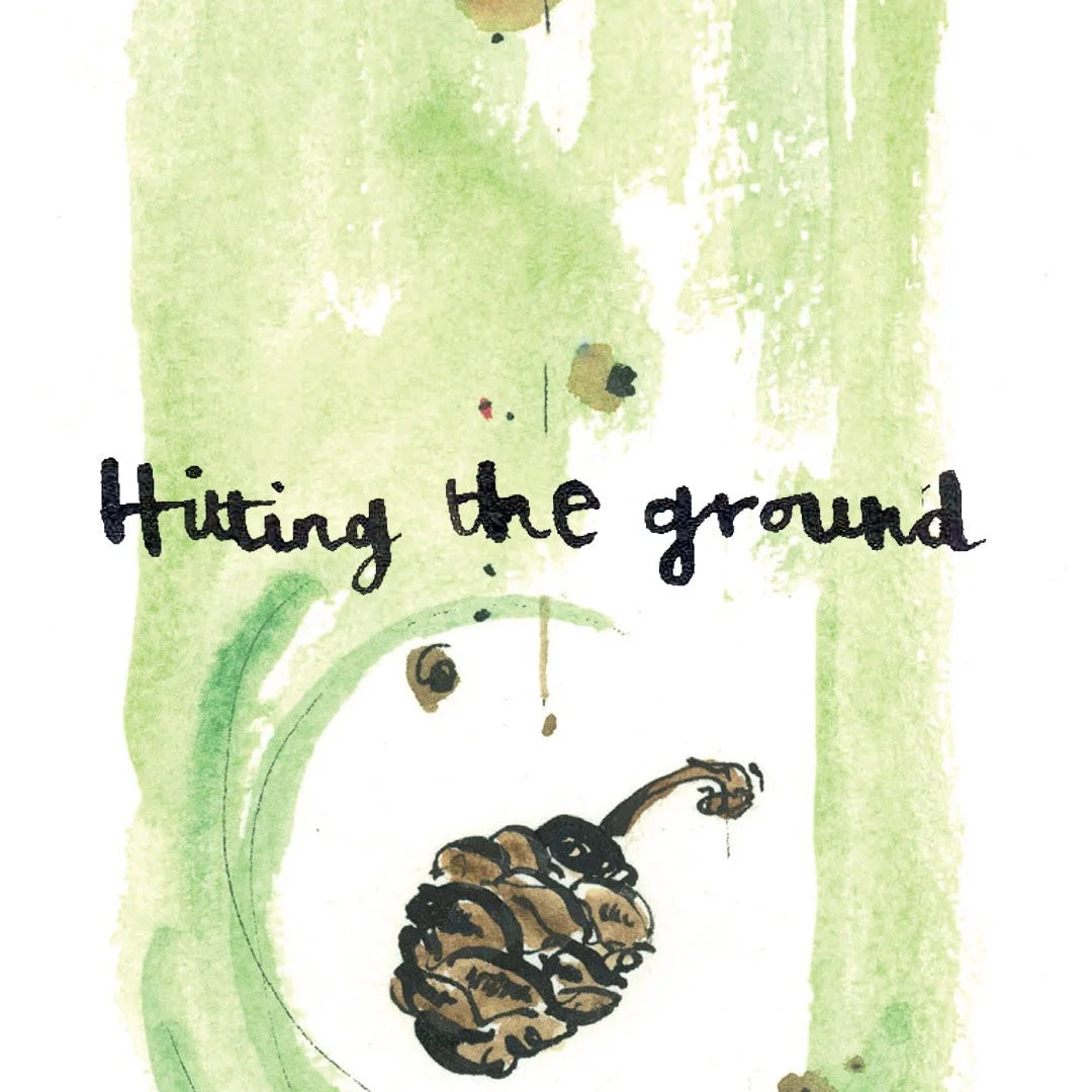 The Sequoia Story Children's Book