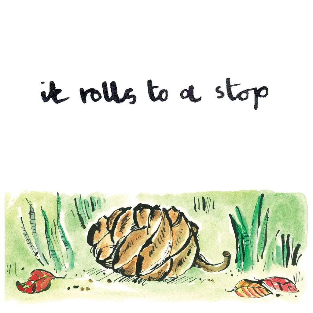 The Sequoia Story Children's Book