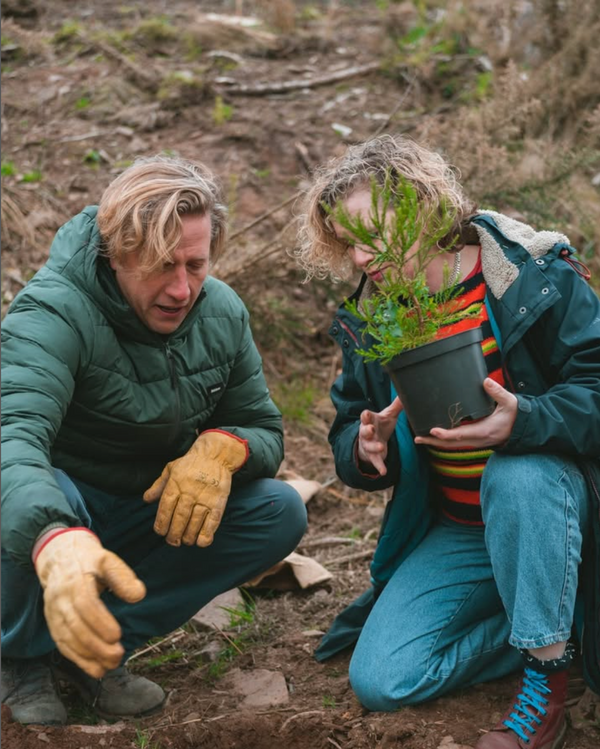 Choose Your Experience